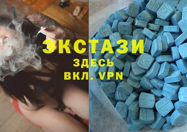 ECSTASY Богородицк